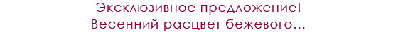 Сумка и кошелек Келли